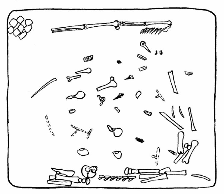 Могильника Меновное VII. План могилы 