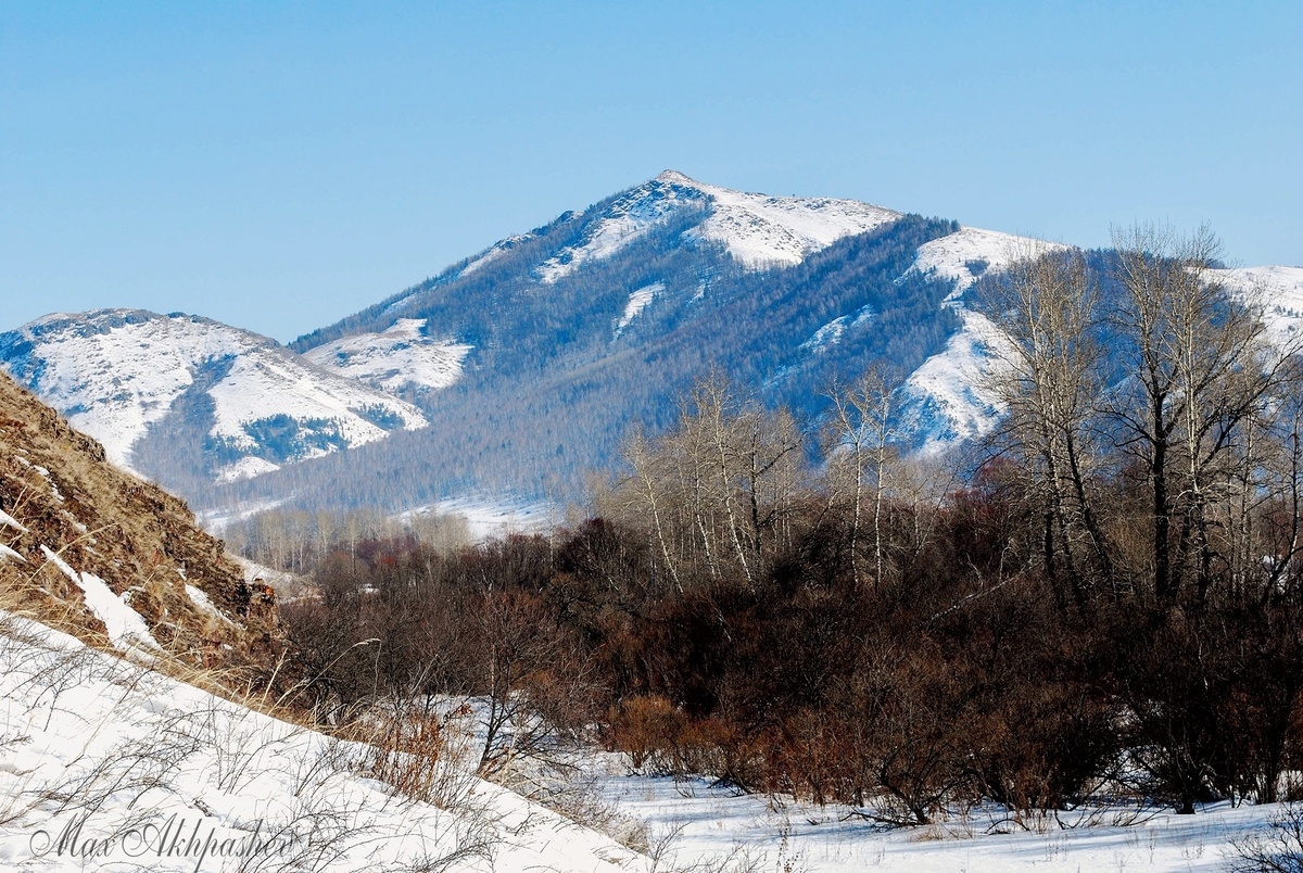 На левом берегу Таштыпа. 2011 г.