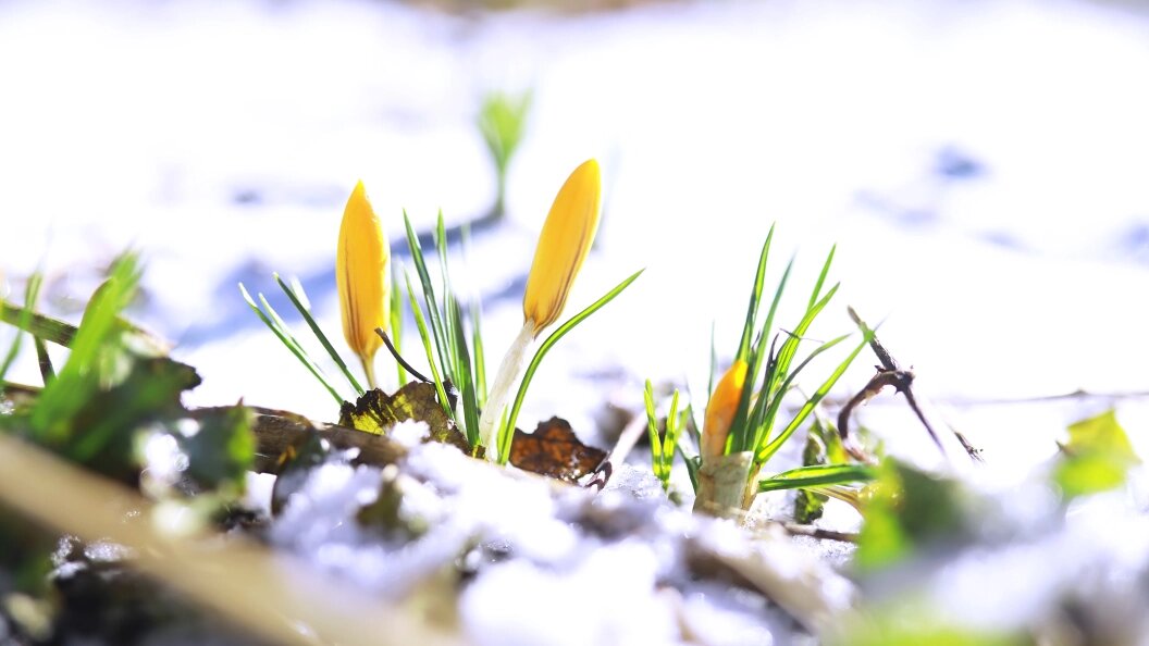    Фото: freepik.com.