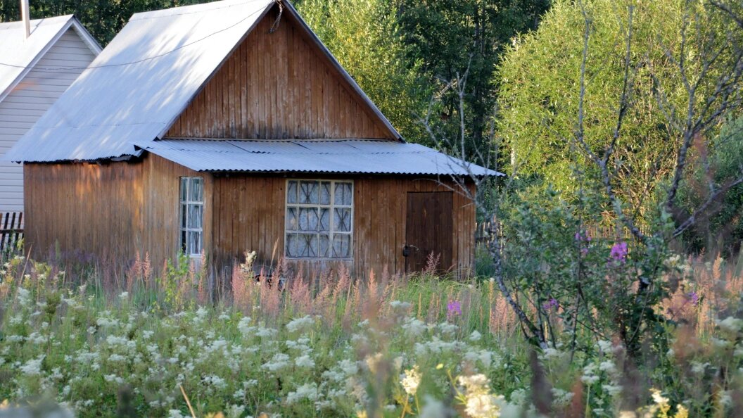    Фото: Komsomolskaya Pravda/Globallookpress