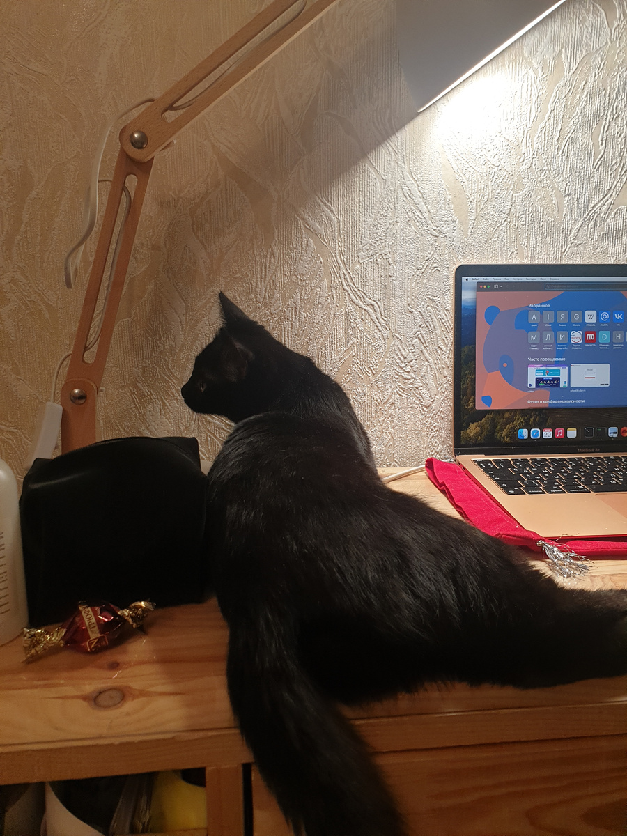 Алиса смотри в сторону двери и видит сына из школы