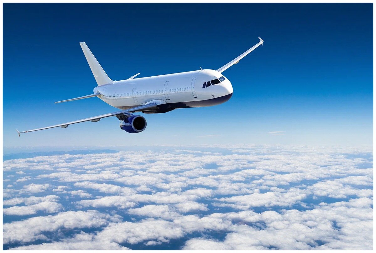 Фото из Яндекс