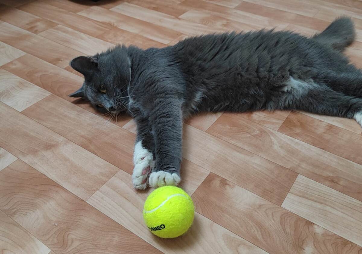 4 марта 2024 год. Фото автора канала. 