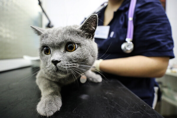 Сергей Савостьянов/ТАСС