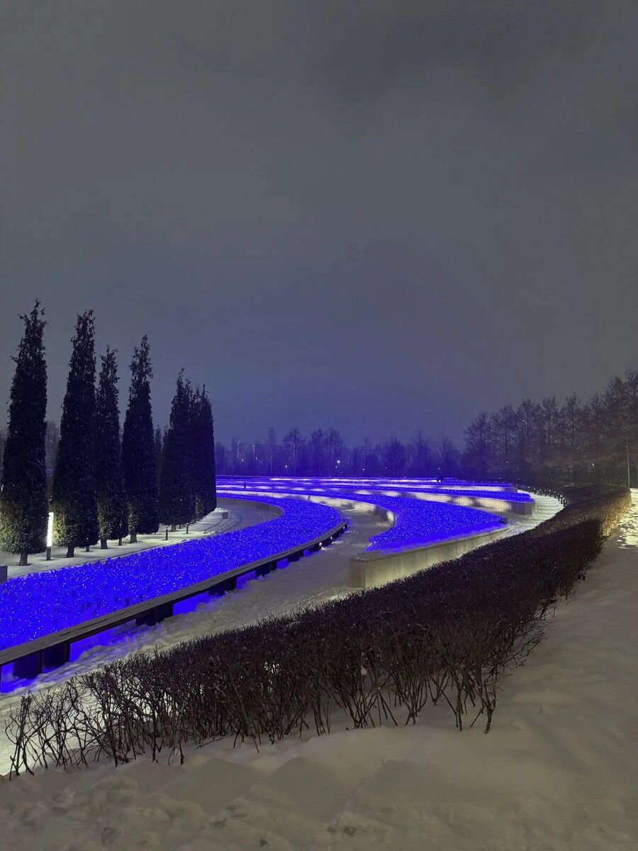 24,02,2025г. Фото автора