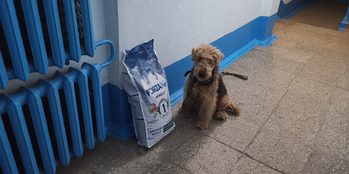 Работа. Как заработать деньги в домашних условиях. 