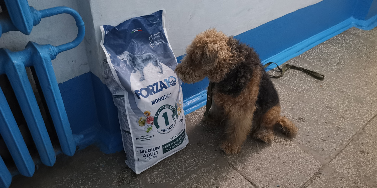 Идеи для заработка 