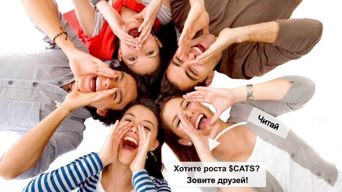 Хотите роста $CATS? Зовите друзей!