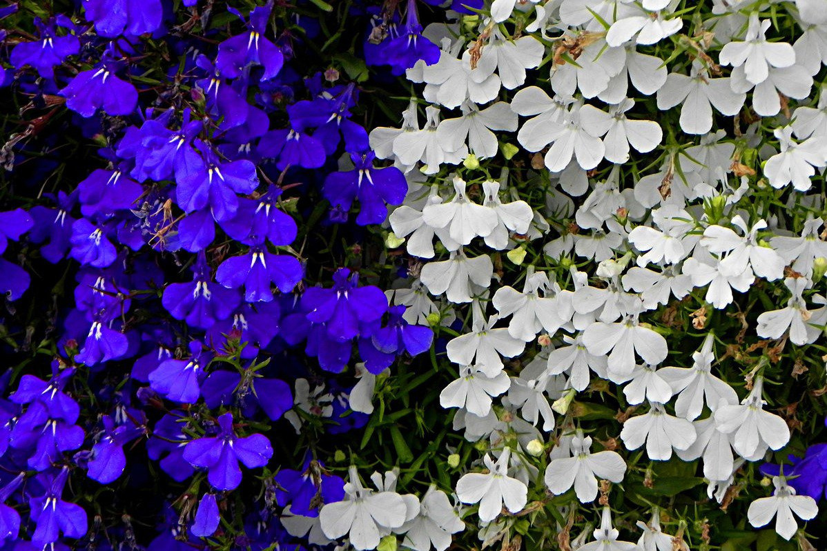 Взято из открытых источников интернета