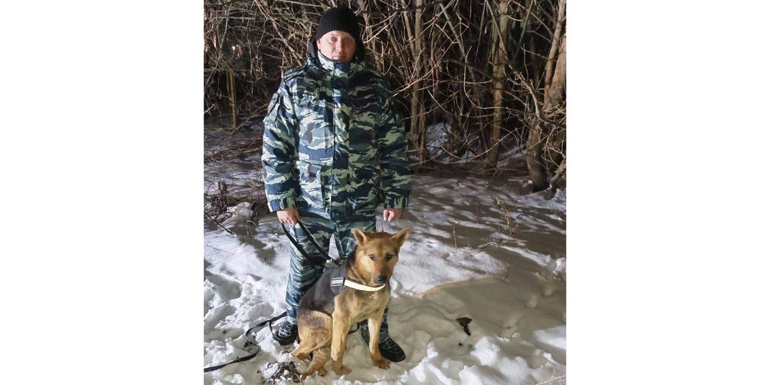 В Курской области пес нашел замерзающего мужчину