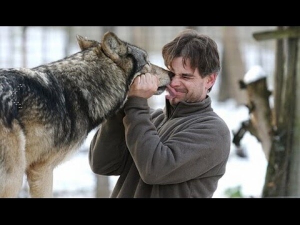 Фото из Яндекса 