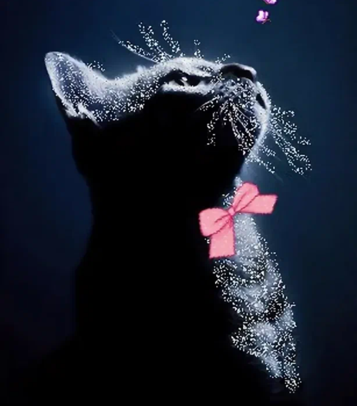 Истории о животных