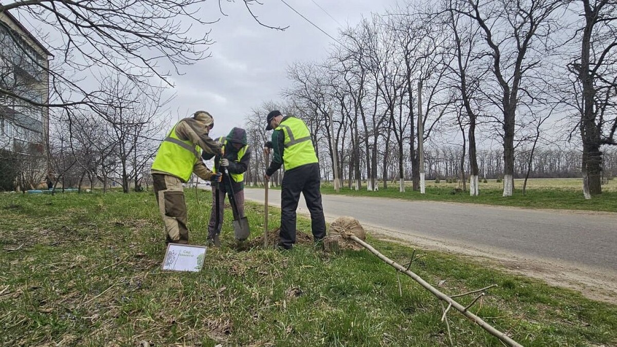    Фото: t.me/armawir_adm