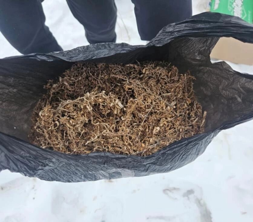 Фото: ГУ МВД по Челябинской области