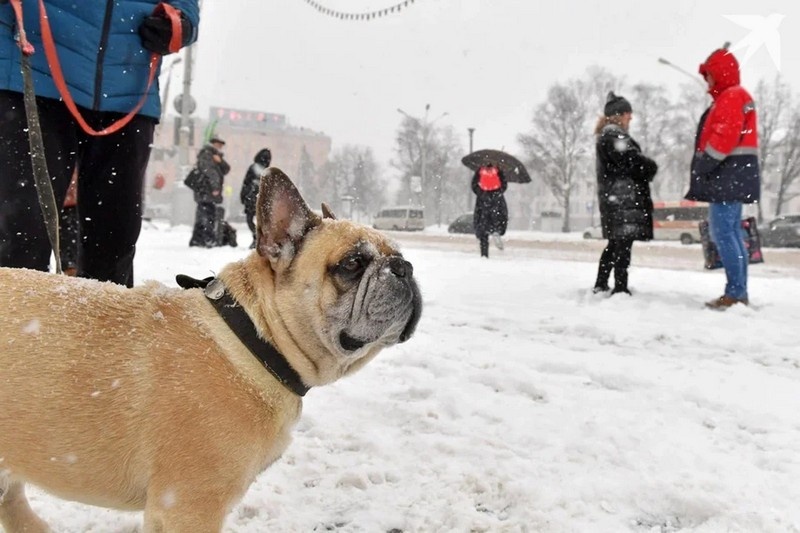 Иллюстративное фото