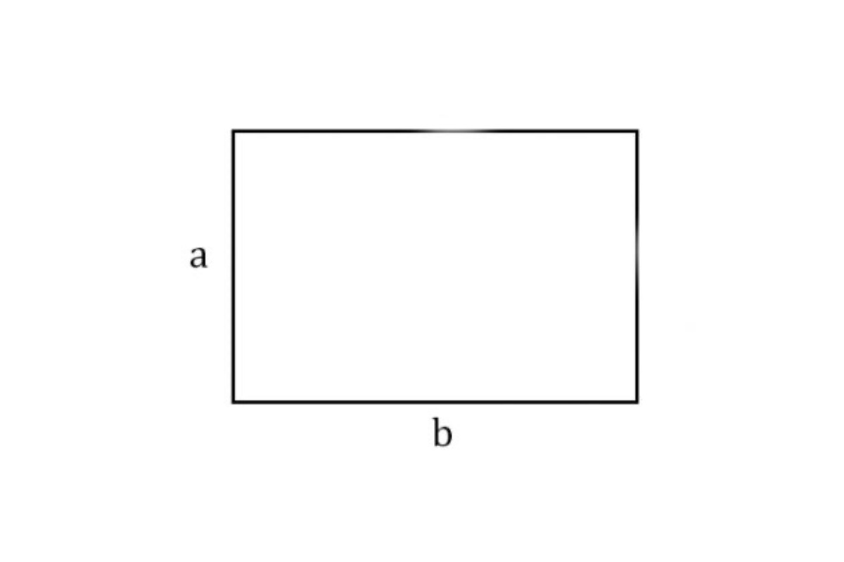 РБК Life📷Площадь прямоугольника