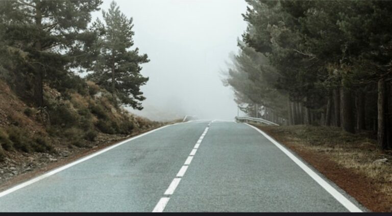    Фото: freepik / freepik Ксения Евдокимова