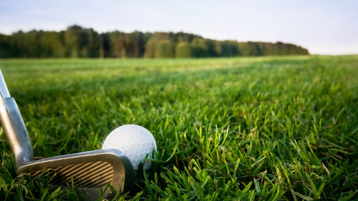    Источник: freepik.com