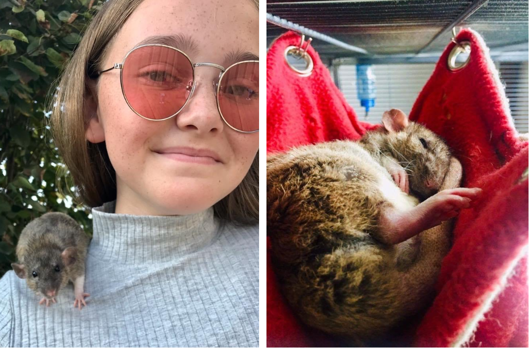 (с) Elin Skår-Løkken