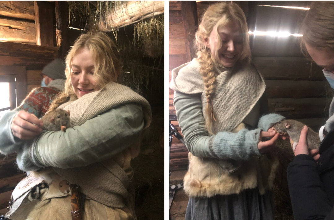 (с) Elin Skår-Løkken