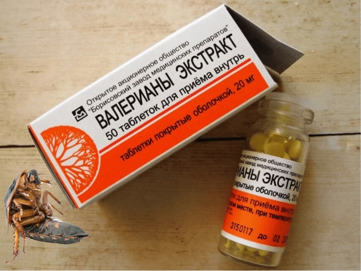 Как действует валерианка на тараканов