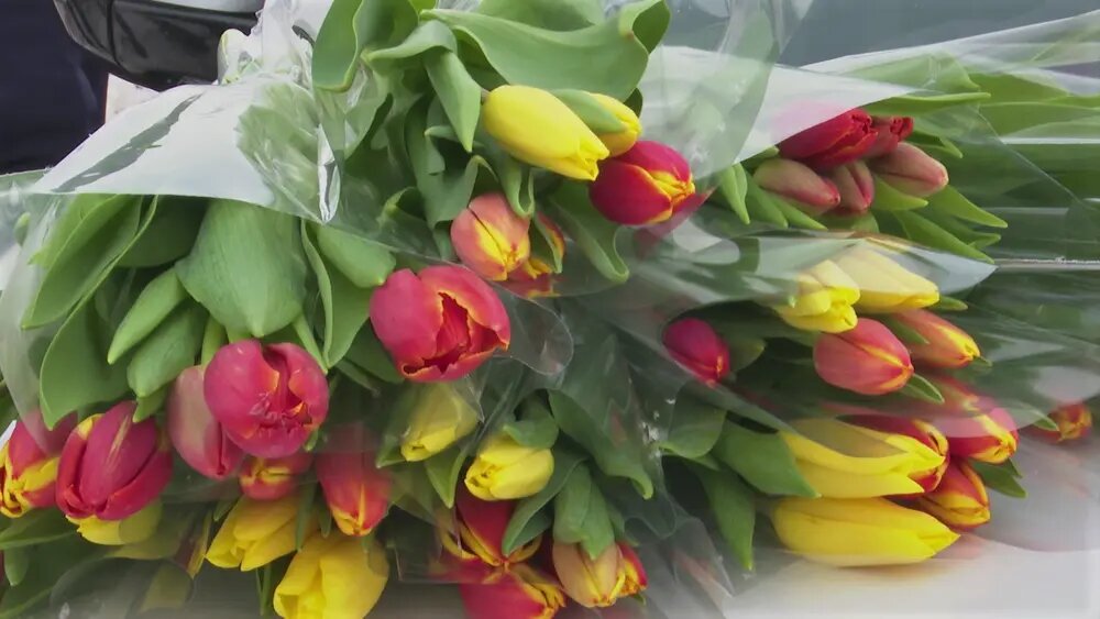    В марте в 2025-году 21 рабочий день и 10 выходных // Фото: НТР 24