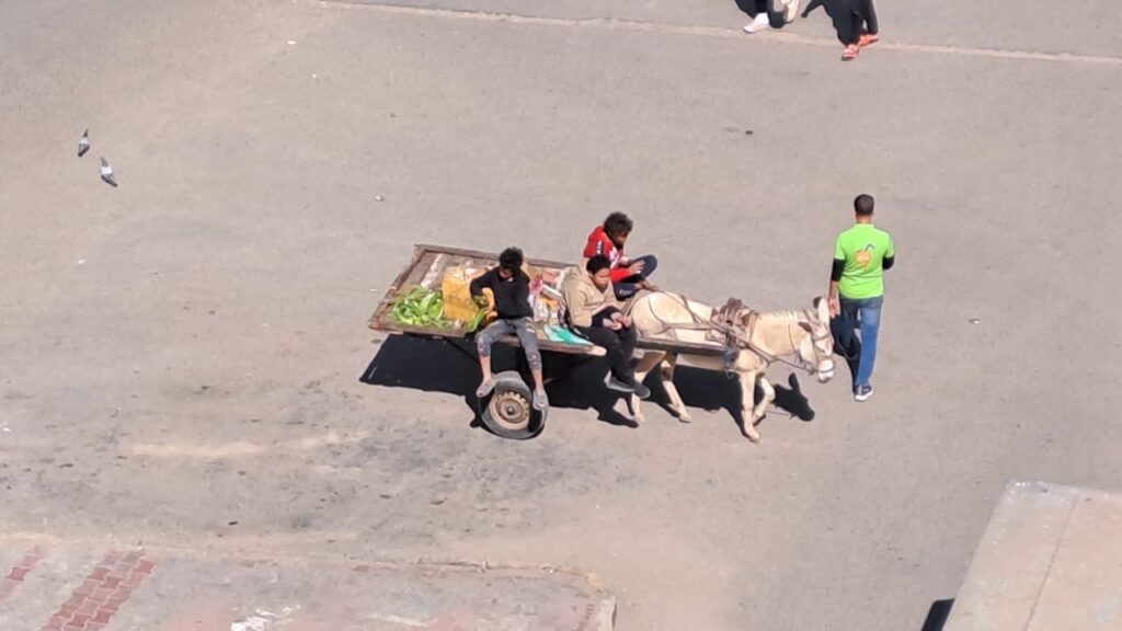    Русские эмигранты в Египте: как справиться с грустью и найти себя Фото для Канала [Лиля. Египет]