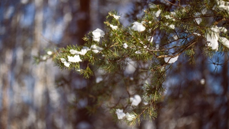 Фото: @user11250938 / freepik.com