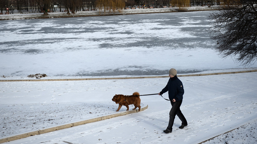   РИА Новости Максим Блинов