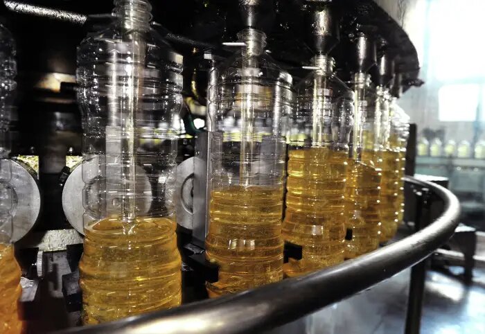     © РИА Новости. Александр Поготов