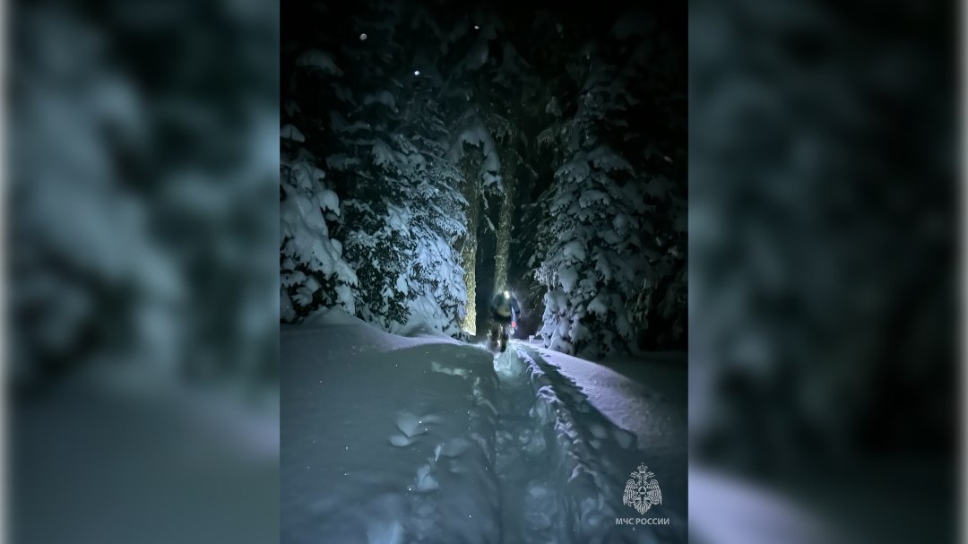    Фото: ЮРПСО МЧС России