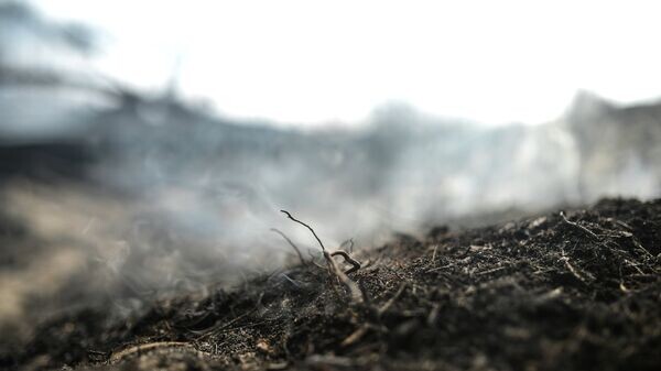    © Sputnik / Владимир Астапкович