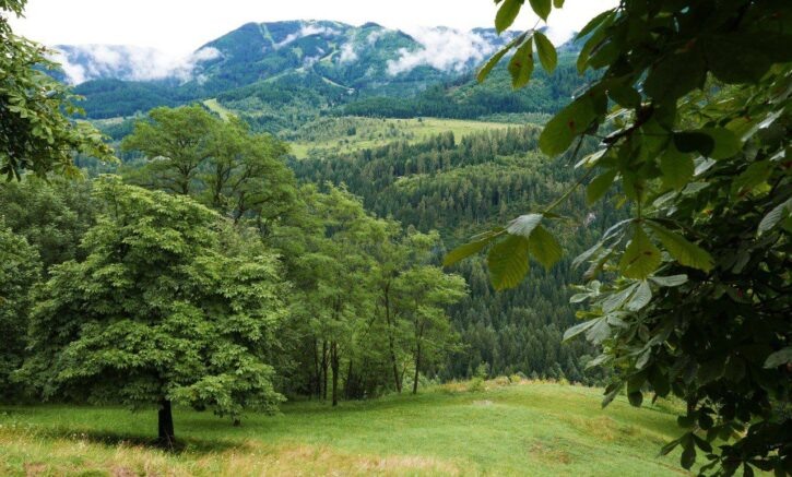    admkrai.krasnodar.ru