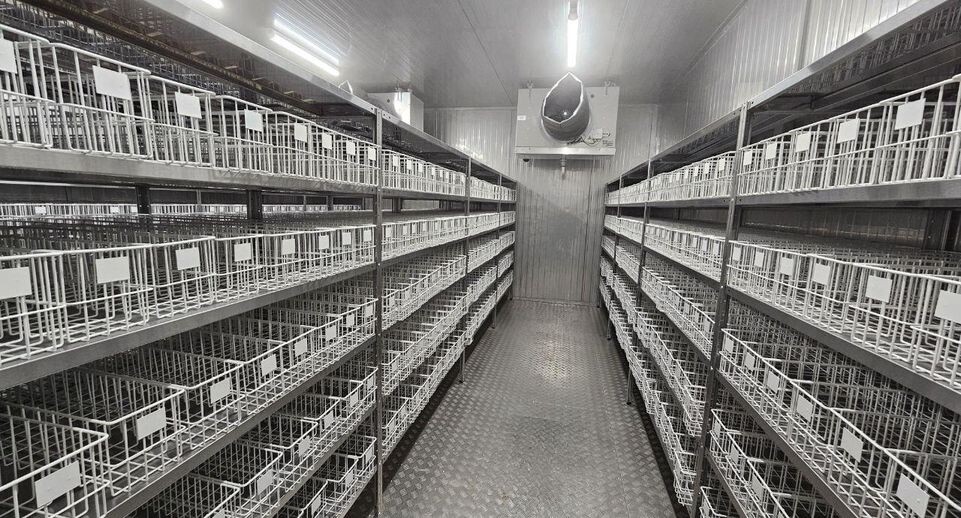    Пресс-служба Министерства здравоохранения Московской области