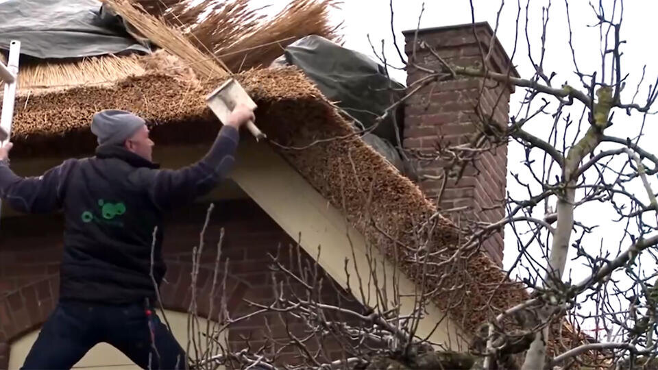 Фото: © Кадр из программы "Купи-продай", РЕН ТВ