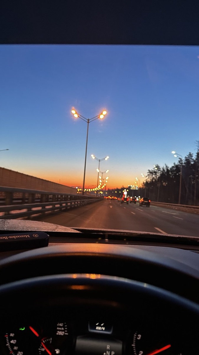 Фото: Лиса Лисовская 