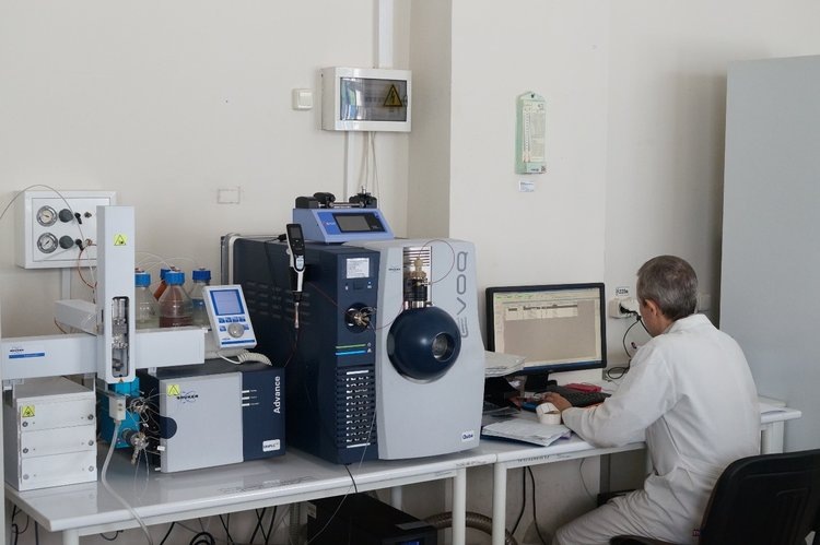    У погибшего черноморского дельфина нашли метаболит опасного пестицида ДДТ