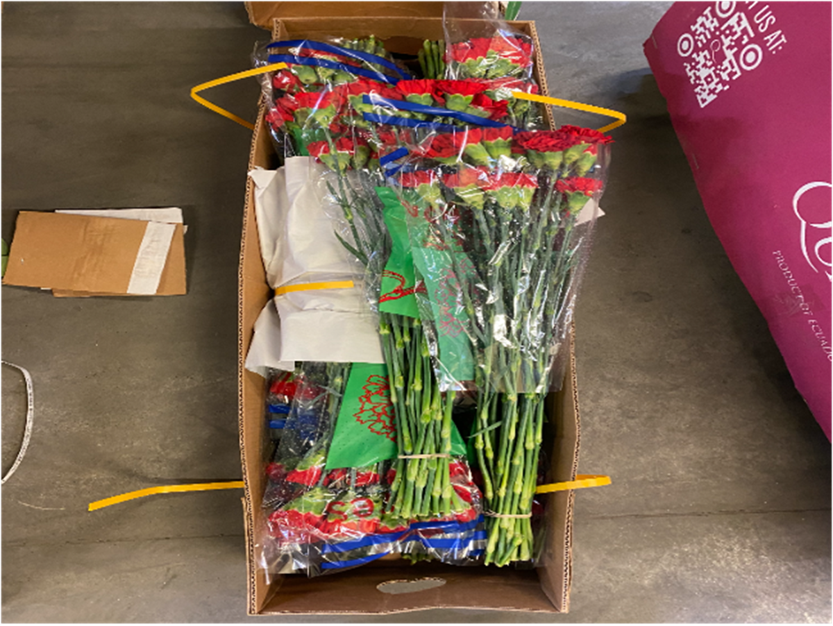 Фото: пресс-служба Уральского межрегионального управления Россельхознадзора  📷
