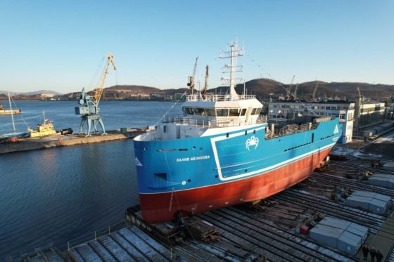     Фото: Трепанг ДВ