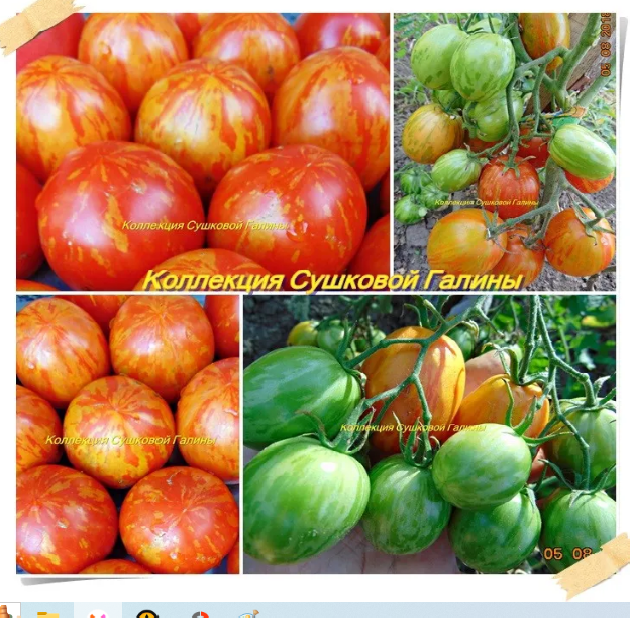 Пасхальное Яццо фото из нашего каталога . 