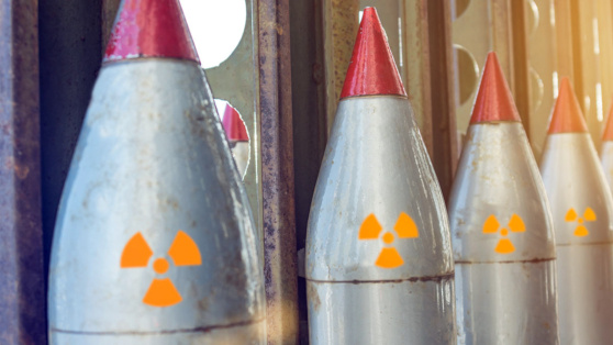    Франция планирует разместить ядерные силы в ФРГ, если войска США покинут Европу Татьяна Сидорова