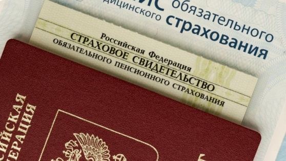    В Госдуме предупредили о новой схеме мошенничества с использованием номера СНИЛС Ирина Петрова