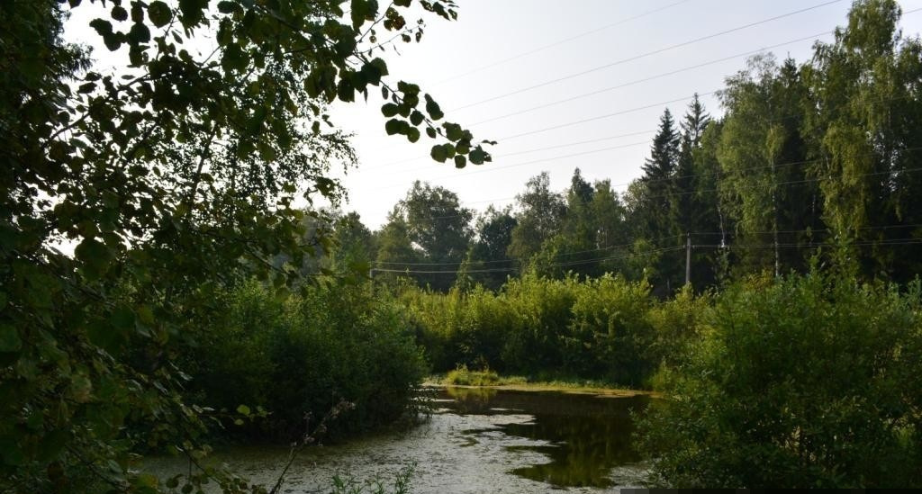 Перевод лесного участка в другую категорию