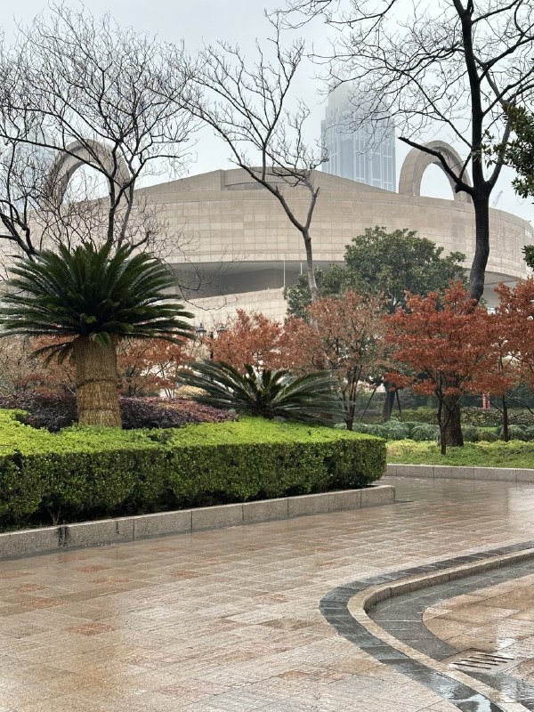 атмосферная площадь у музея