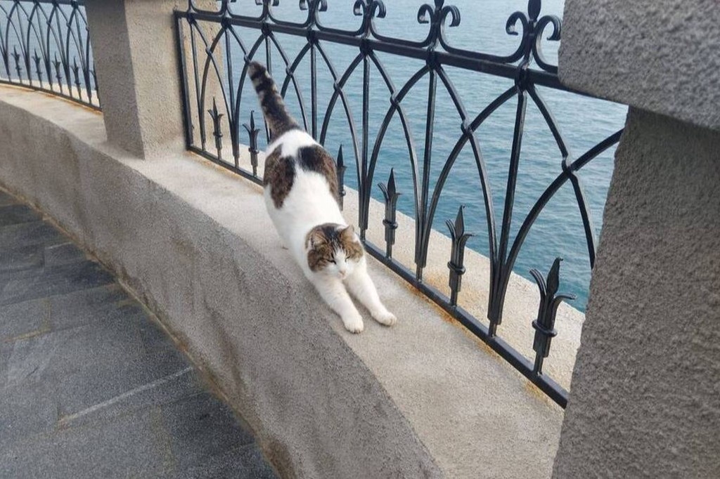    Фото © Из личного архива сотрудника комплекса «Ласточкино гнездо»