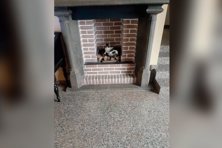  Фото © Из личного архива сотрудника комплекса «Ласточкино гнездо»