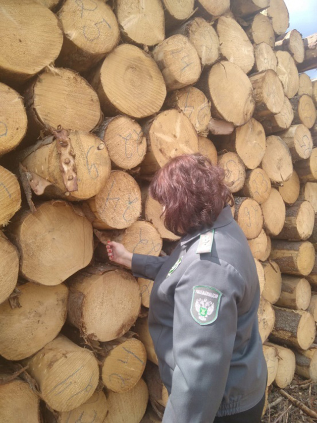 В Тверскую область ввозят хлопок и капусту, вывозят лес и землю--Lna0DLPe-HyboZ.jpg