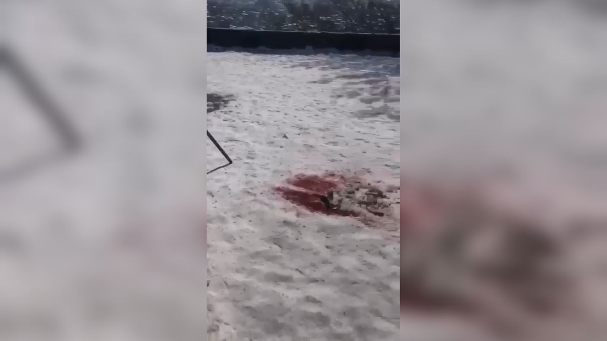 Автор: В. Панченко