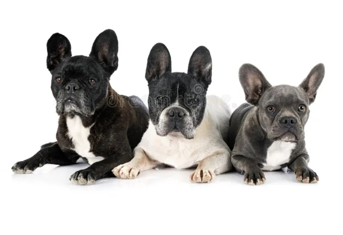 Фото из интернета