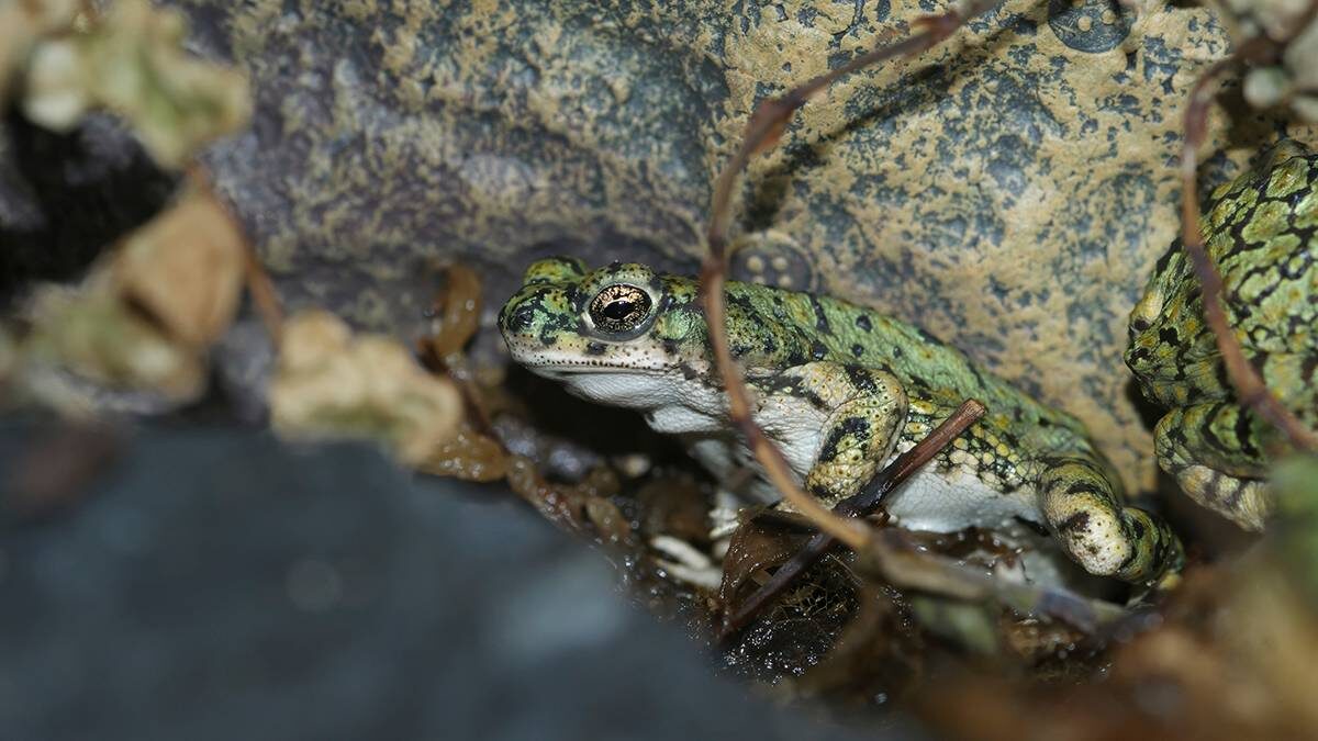    Фото: Shutterstock